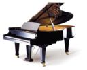 Bohemia 185A Janacek Grand Piano