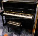 Palatino 123T Piano Chicago